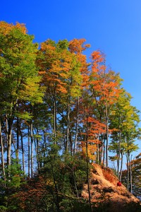 亚洲足球赛事中球场上的精彩瞬间