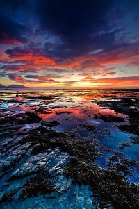 曼联新援表现抢眼，成为战术核心