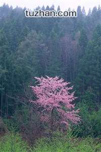 战无不胜！亚洲队伍奋勇争先