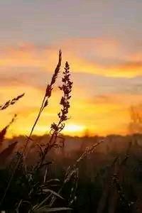 云达不莱梅客场取得三分，表现突出