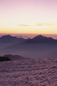 曼联新援表现抢眼，成为战术核心